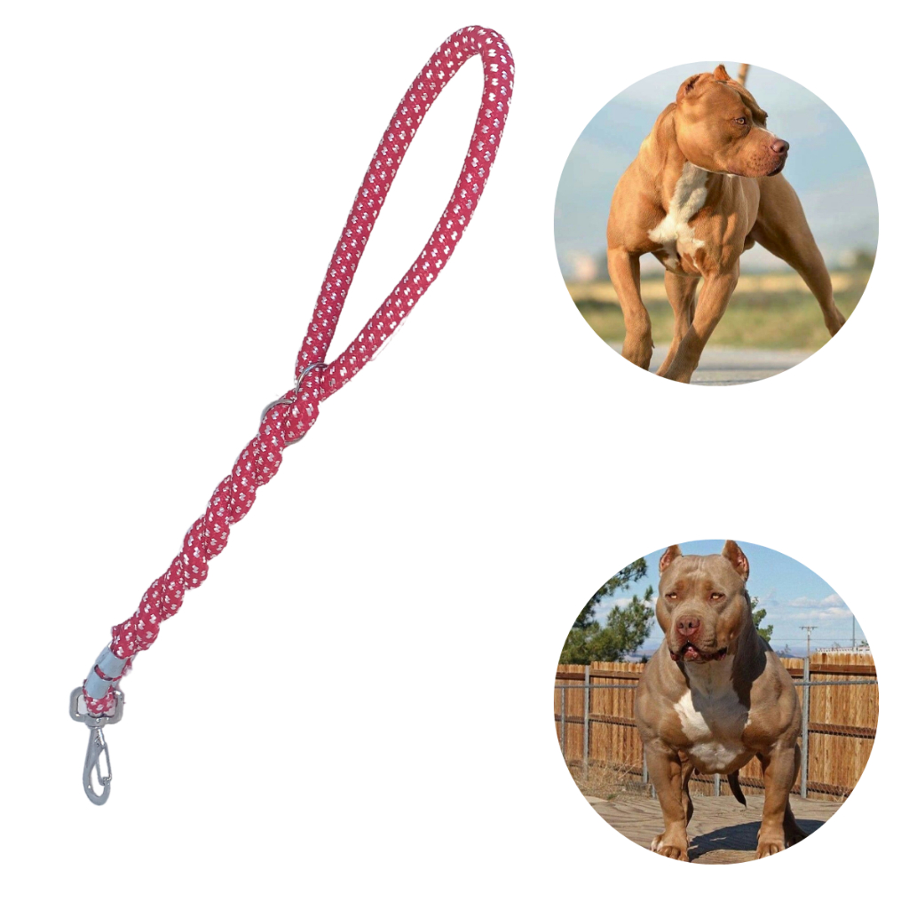 Guia trançada reforçada para Pitbull Rottweiler Bull Terrier 53cm