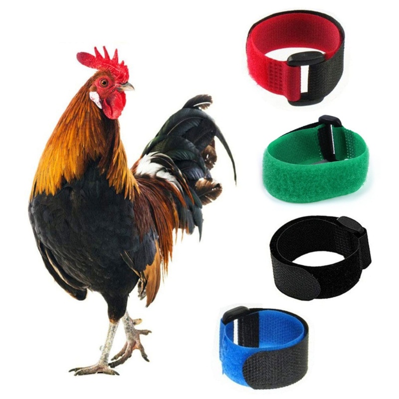 Estone Durável Barulhento Anti-Gancho Neckband Collar 2 Pcs Neck