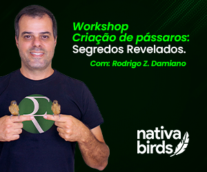 Criação de pássaros: Segredos Revelados