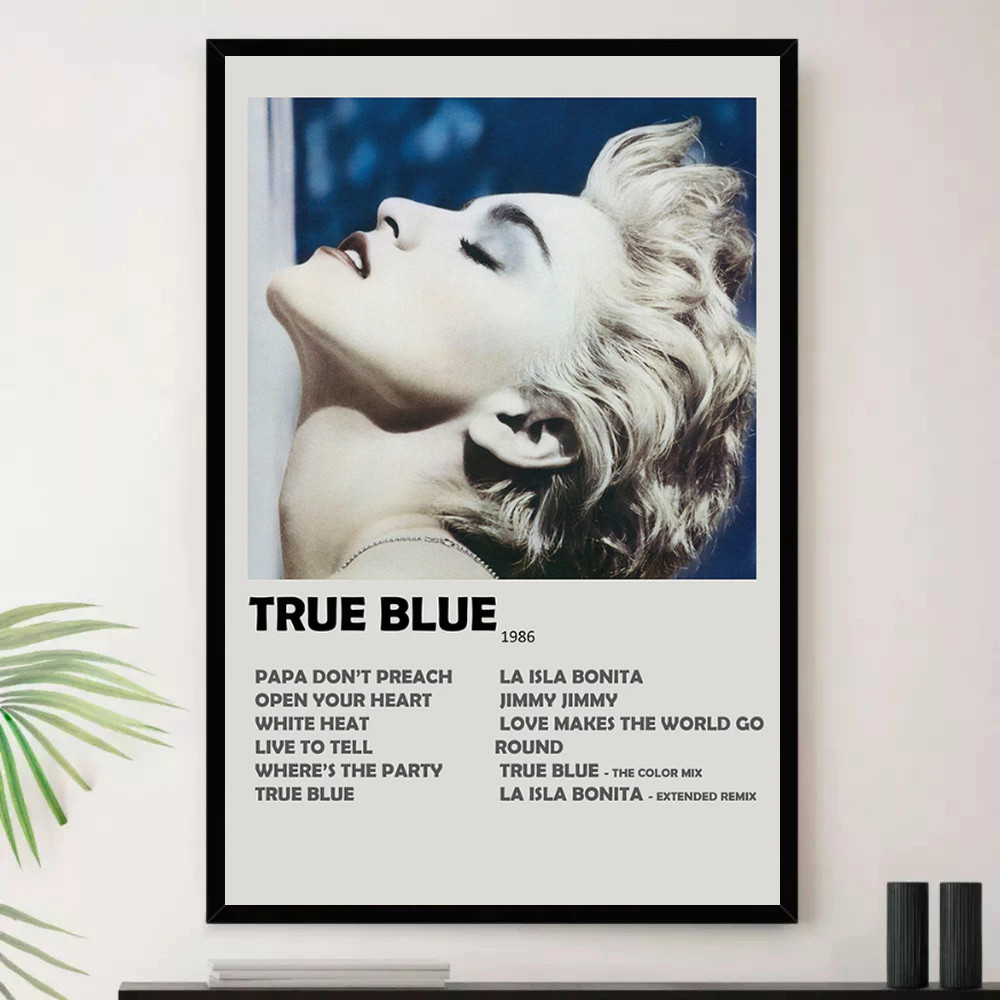 Quadro Placa Decorativa Música Internacional Madonna Pop e Dance Pop Álbuns com Moldura