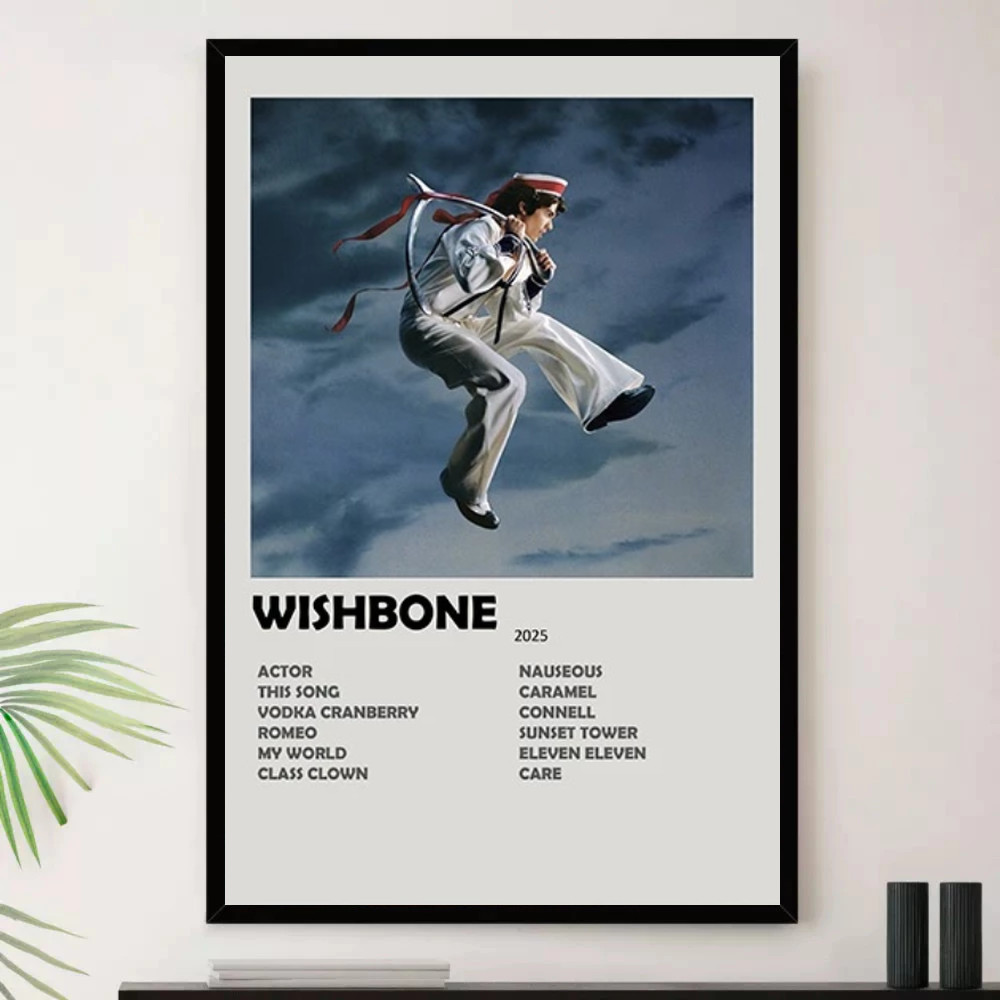 Quadro Placa Decorativa Música Internacional Conan Gray Pop e Dance Pop Álbuns com Moldura