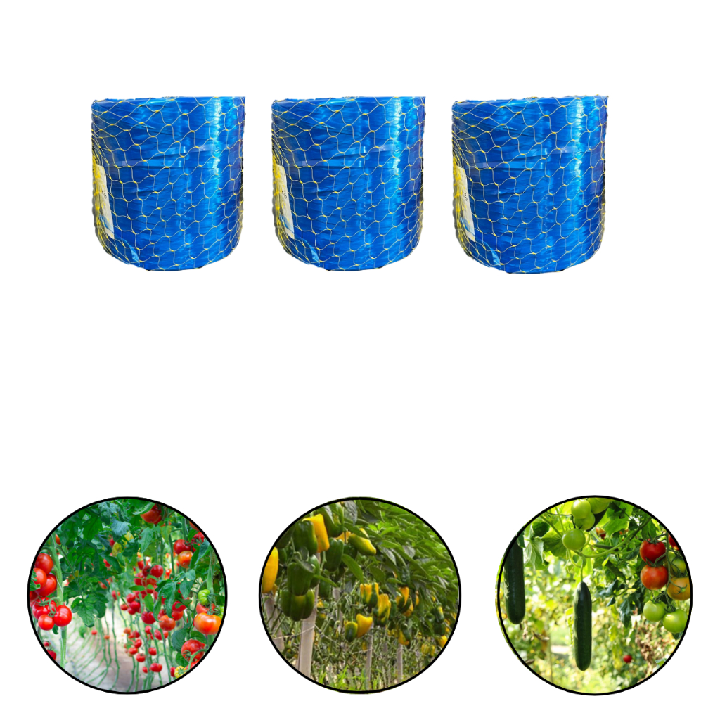 Fio Fitilhos Azul Para Amarração Em Hortas Estufas Plantas Verduras 3 Unidades
