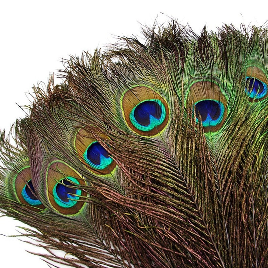 10/20 Pçs 25-30cm Penas De Pavão Artificiais Artesanato DIY Artesanais Jóias Fazendo Decorações De Festa Pluma Carnaval