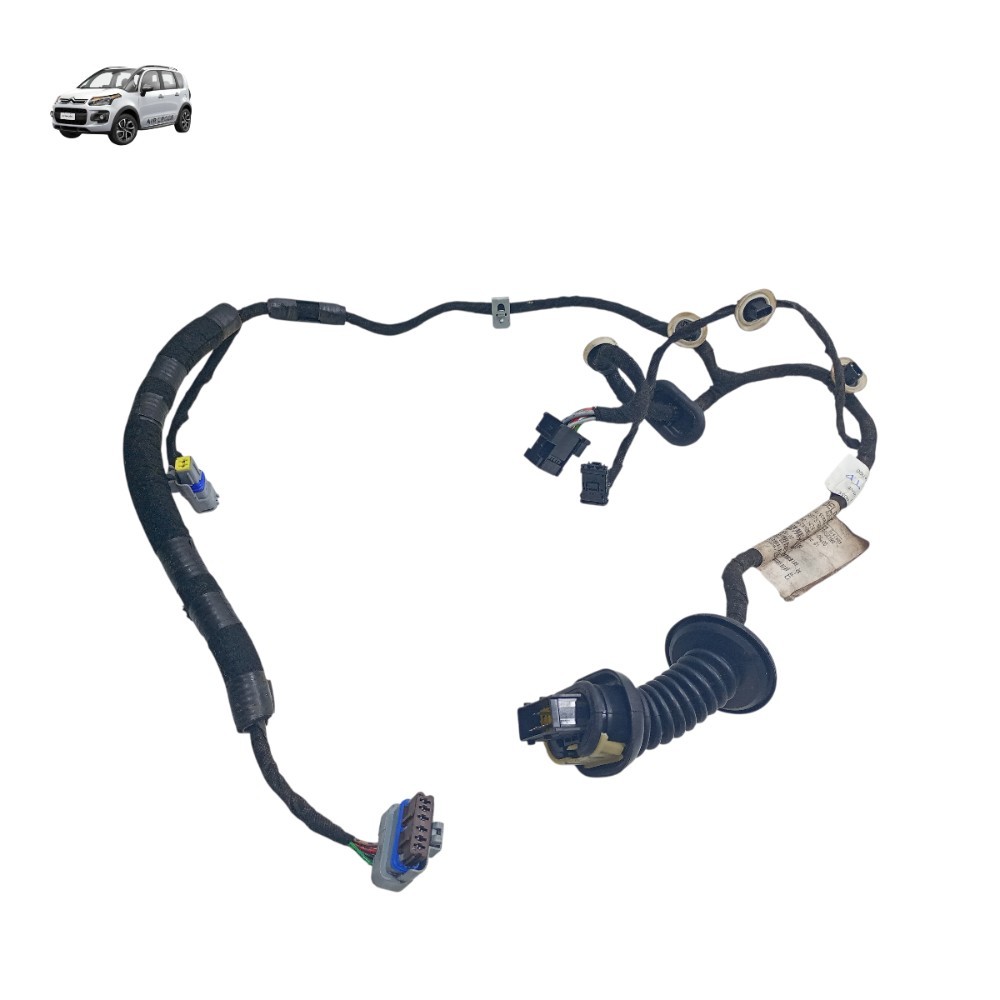 Chicote Porta Traseira Direita Citroen C3 Aircross 2012 2013
