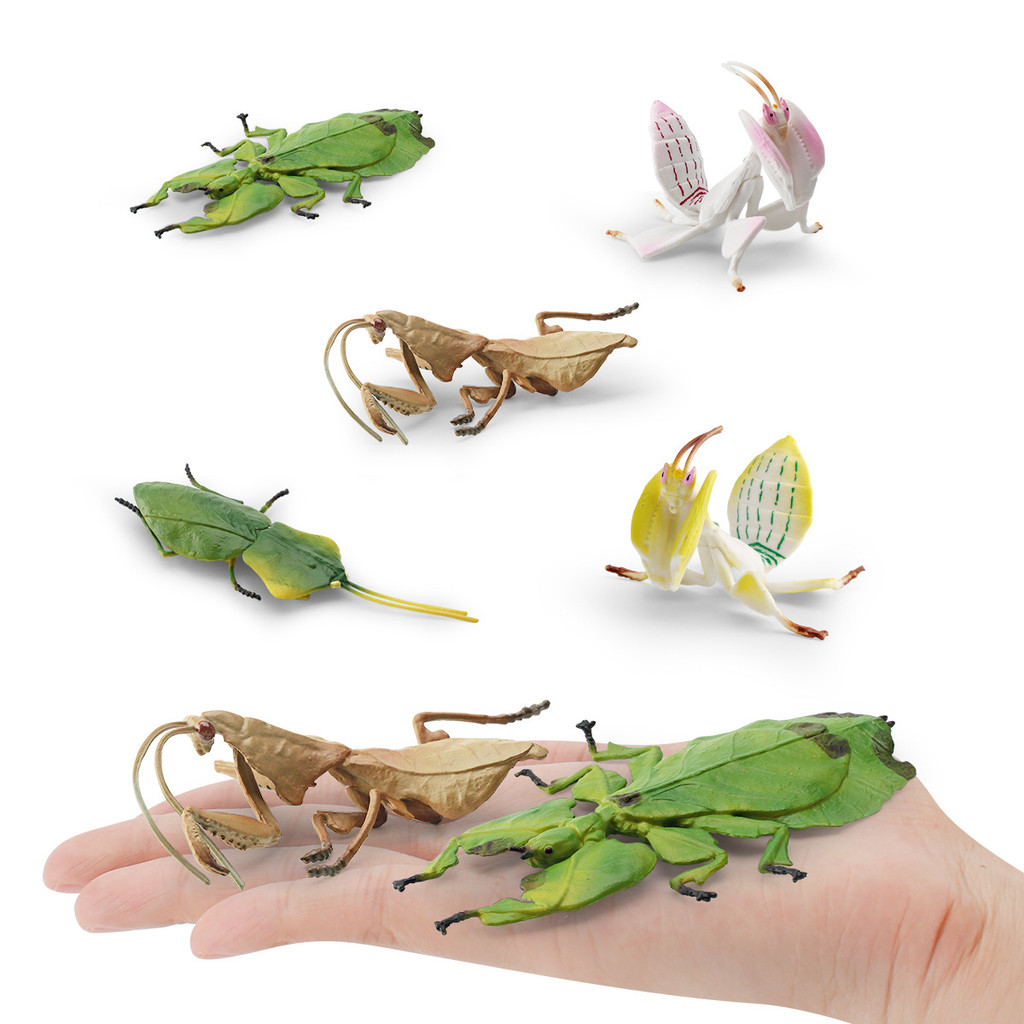Modelo de inseto simulado: modelo de mantis, mantis de orquídea, mantis de folha seca. Peça de decoração em miniatura, b