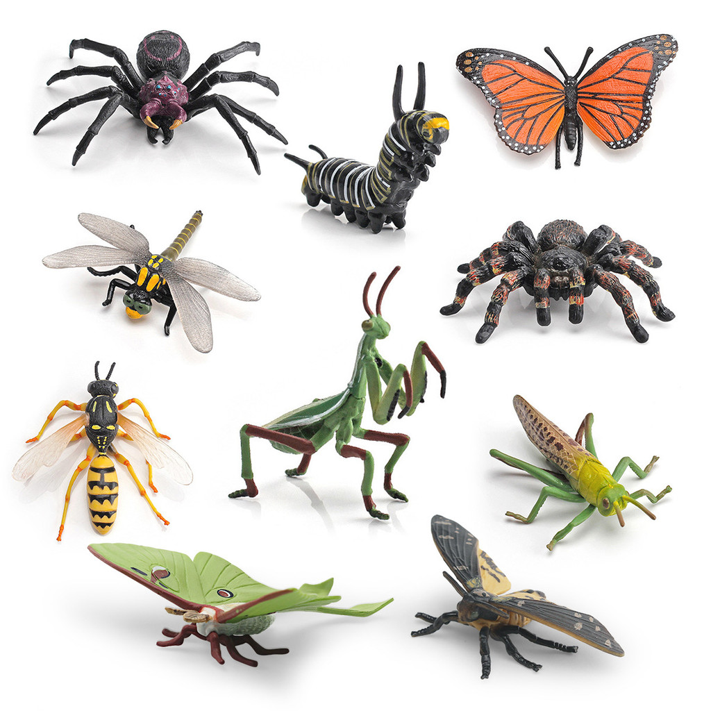 Simulação floresta Tropical inseto Animal modelo decoração brinquedo sólido veneno aranha Bumblebee Mantis formiga grama