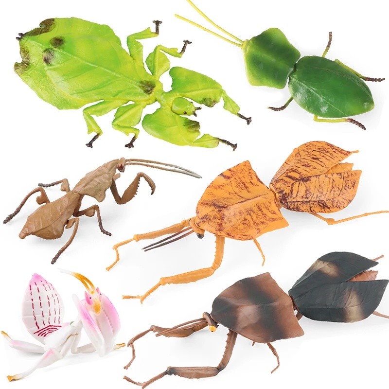 Modelo de Insetos Selvagens: Mantis, Grão-de-Bico, Phyllium Giganteum - Figuras de Ação em PVC para Coleção Educacional