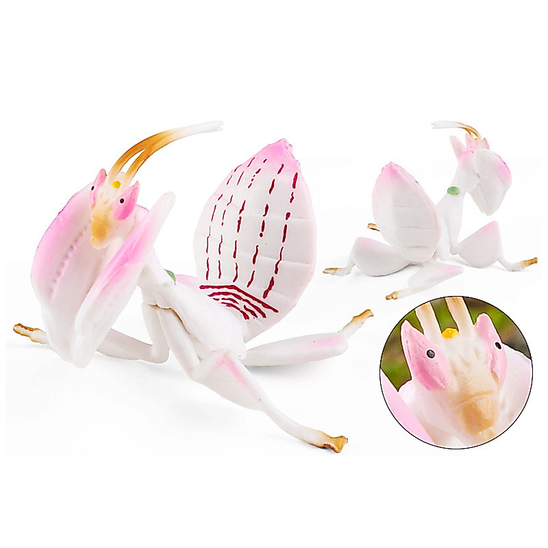Inseto Brinquedo Orquídea Mantis Crianças Educação Precoce Cognição Simulação Prop Modelo Animal