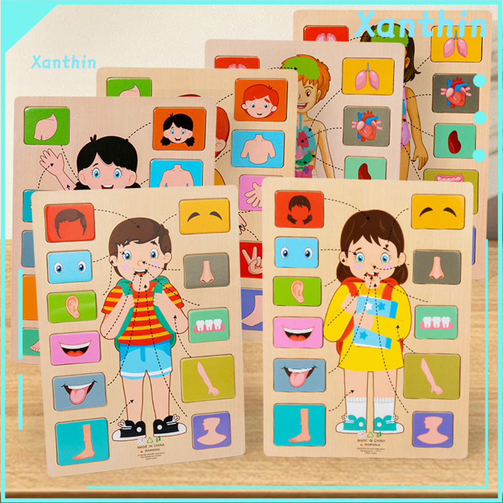 Educational Anatomy Puzzle Body Learning Toy for Kids Toddlers – Wooden Board Game Stem for Children Parts Matching