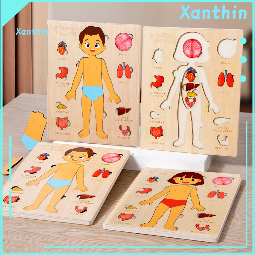 Wooden Body Puzzle Learning Activity Educational for Kids Toddlers – Anatomy Board Game Stem Toy for Children Parts Ma