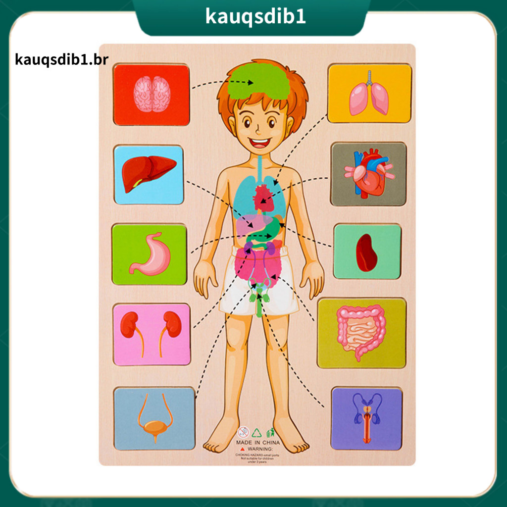 Educational Anatomy Puzzle Body Learning for Kids Toddlers – Wooden Board Game Stem Toy for Children Parts Matching