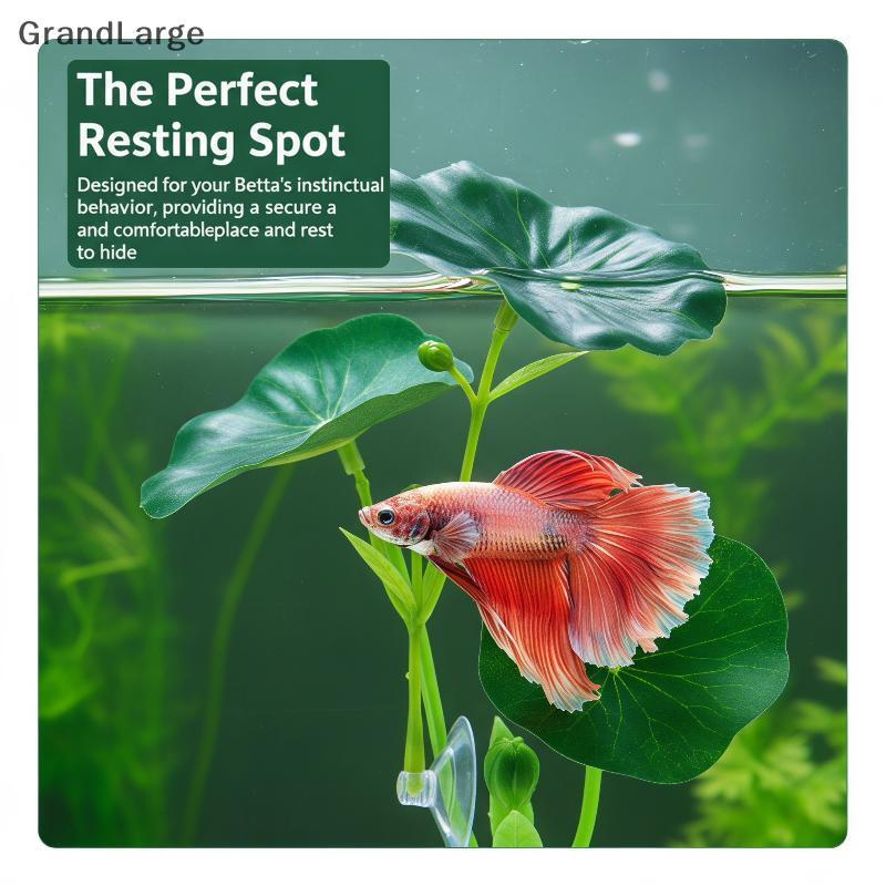[GrandLarge] Betta Fish Rest Leaf Fadeless Simulado Plástico Folha De Lótus Decoração De Aquário Para Descanso Escondend