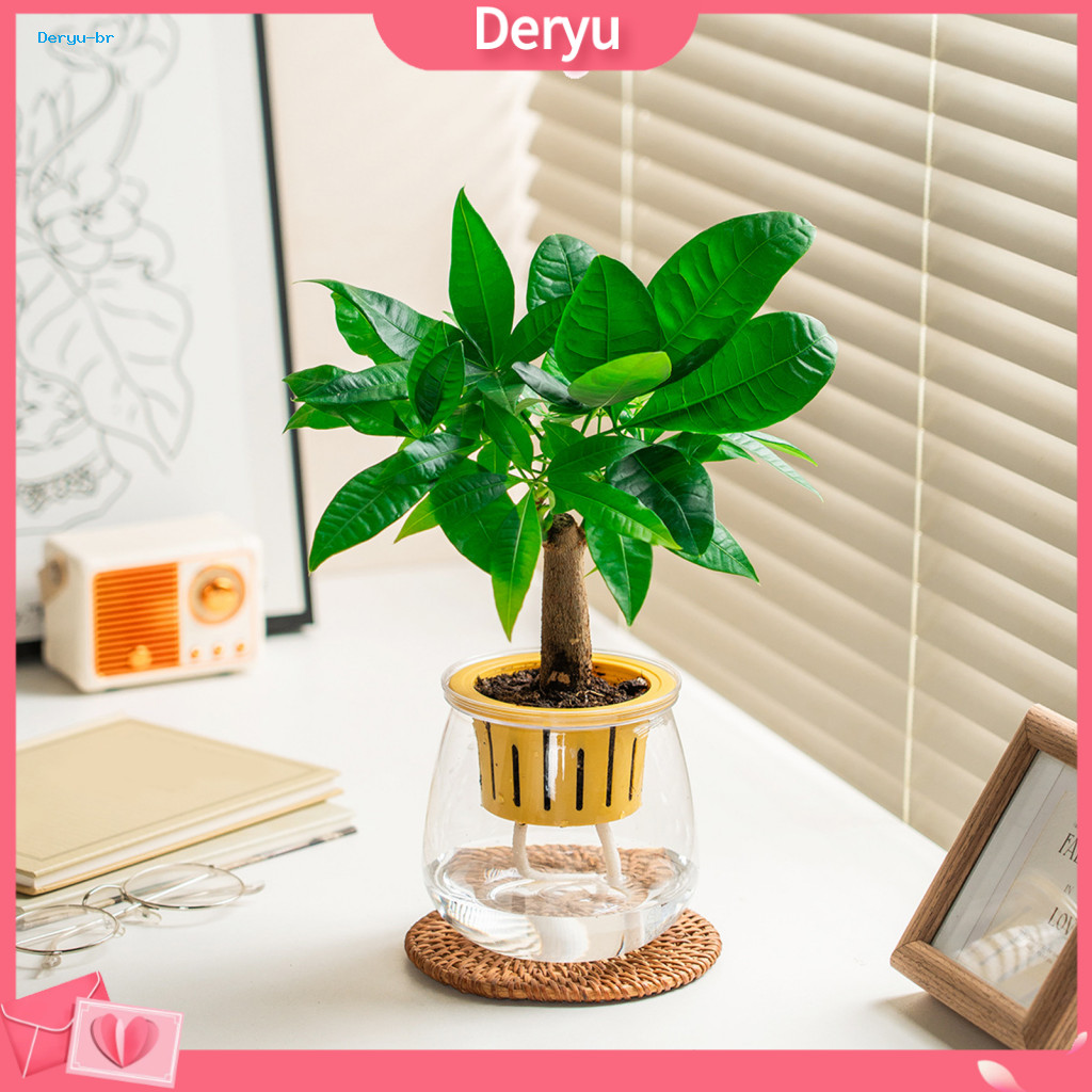 Modern Home Planter Self Watering Indoor with Transparent Hydroponic Design Decorative Flowerpot Wick Rope for for South