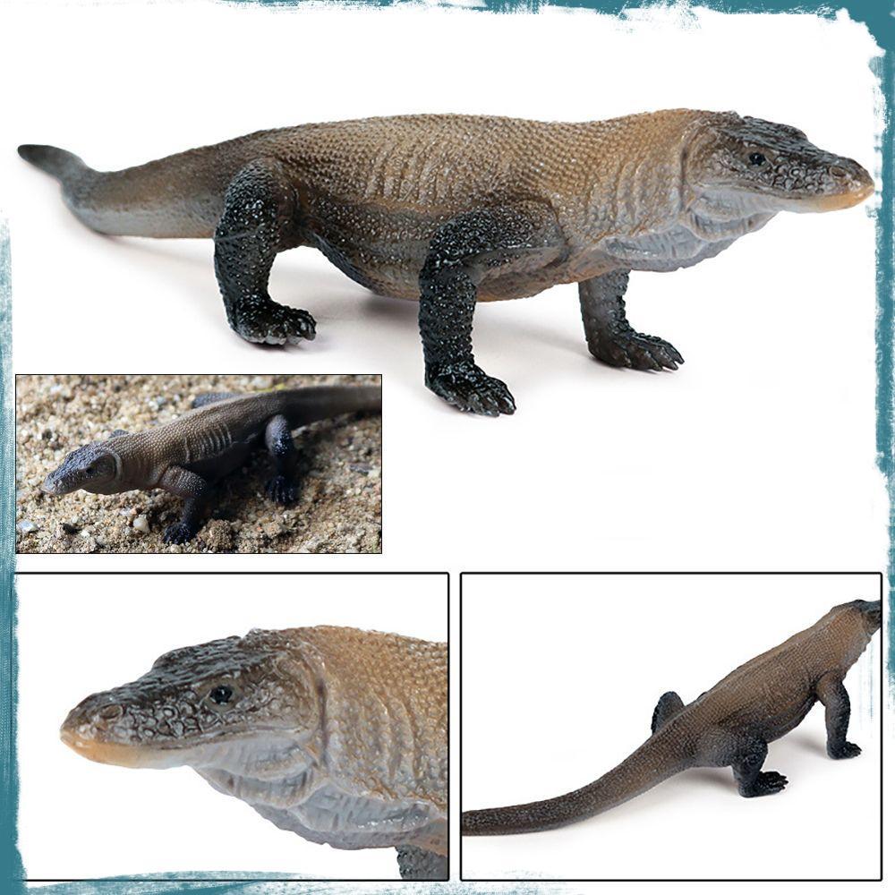 Komodo Dragões Modelos Ciência E Brinquedo Educacional Animal Selvagem Realista