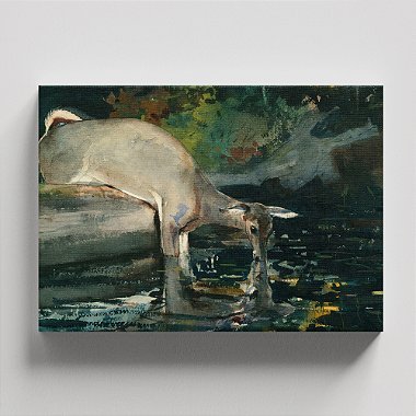 Quadro Canvas Deer Drinking Borda Infinita 60x90cm