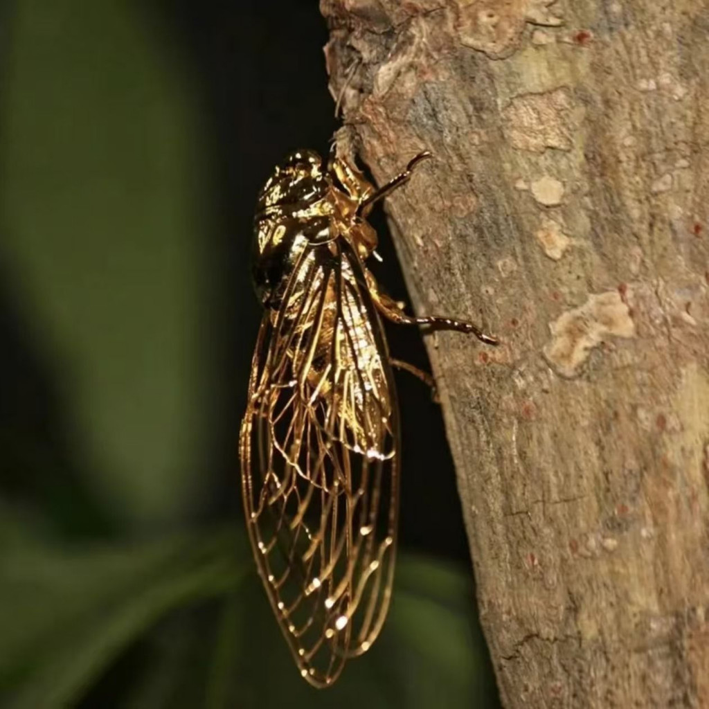 Realistic 3d Golden Cicada Figurine Metal Sculpture for Tea Table Office Desk Study Room Decor – Unique Animal Ornamen