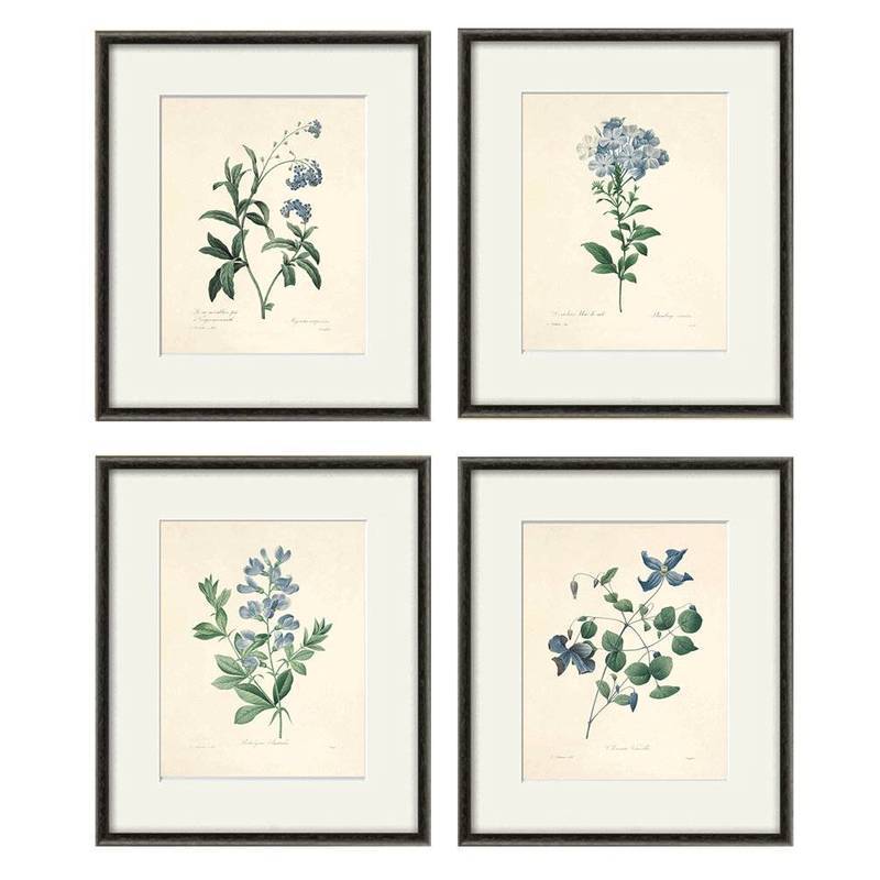 Antique Blue Hydrangea Botanical Set Poster No Frame Canvas Wall Art Painting French Country Bedroom Living Room Decor