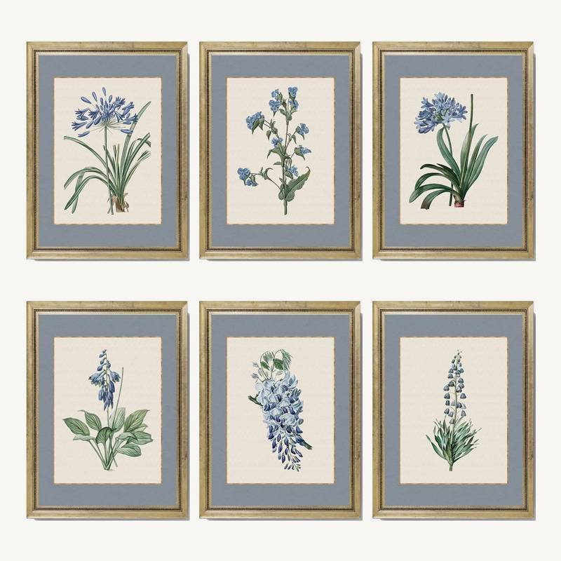 Blue Wildflower Botanical French Cottage Poster No Frame Canvas Wall Art Painting Bedroom Living Room Decor