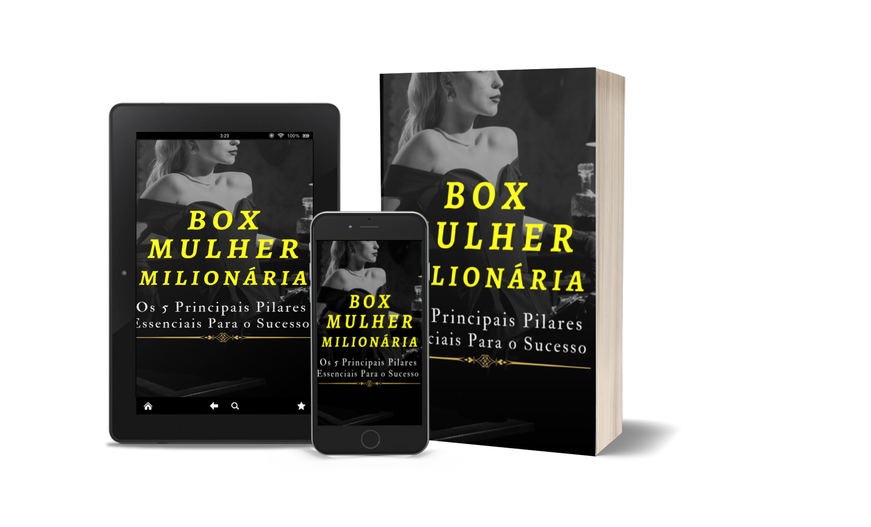 BOX MULHER MILIONÁRIA - Os 5 Principais Pilares Essenciais Para o Sucesso