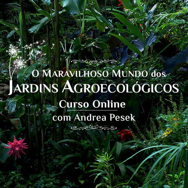 O Maravilhoso Mundo dos Jardins Agroecológicos