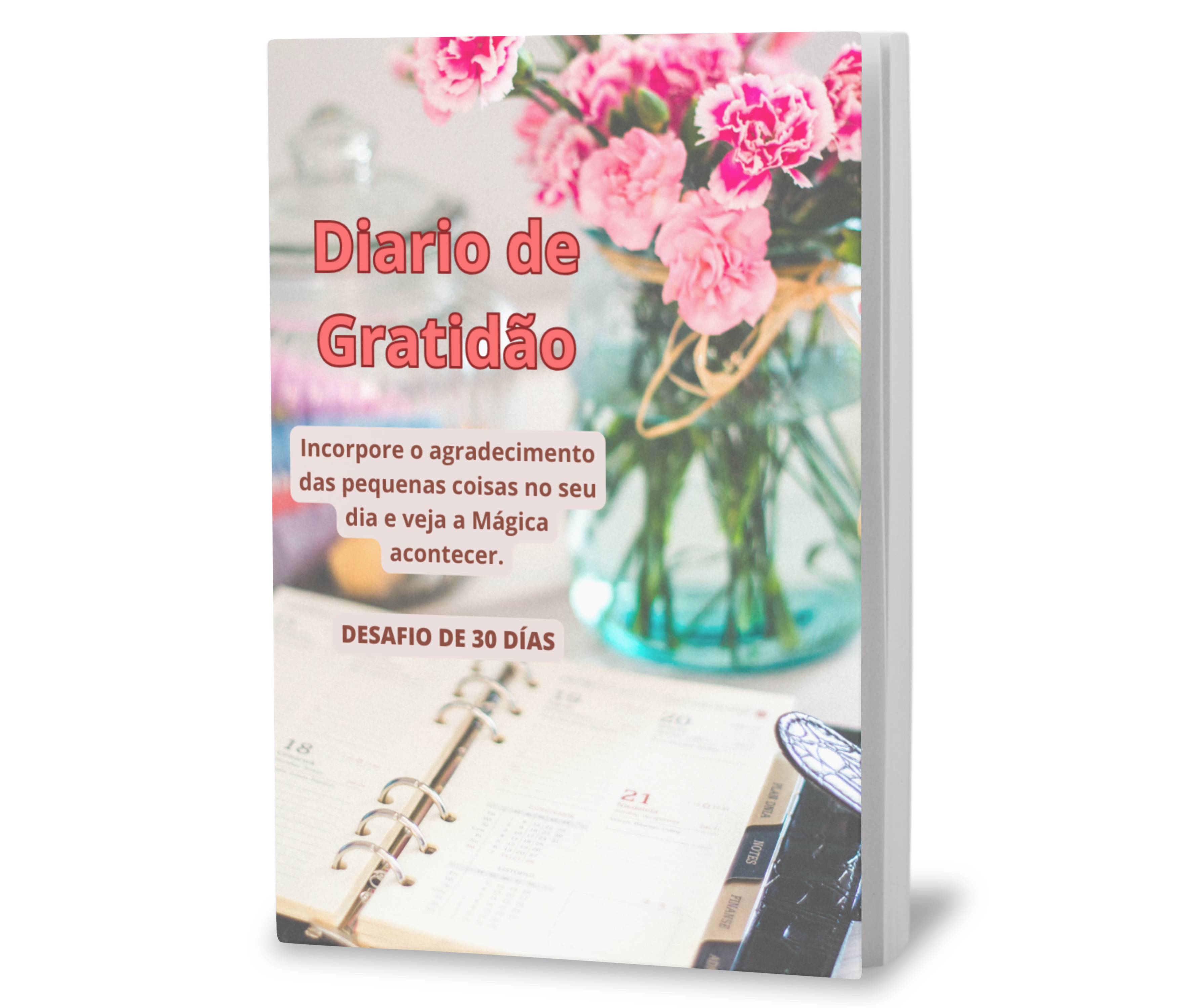 Diário de Gratidão - Incorpore o agradecimento das pequenas coisas no seu dia e veja a MÁGICA acontecer.