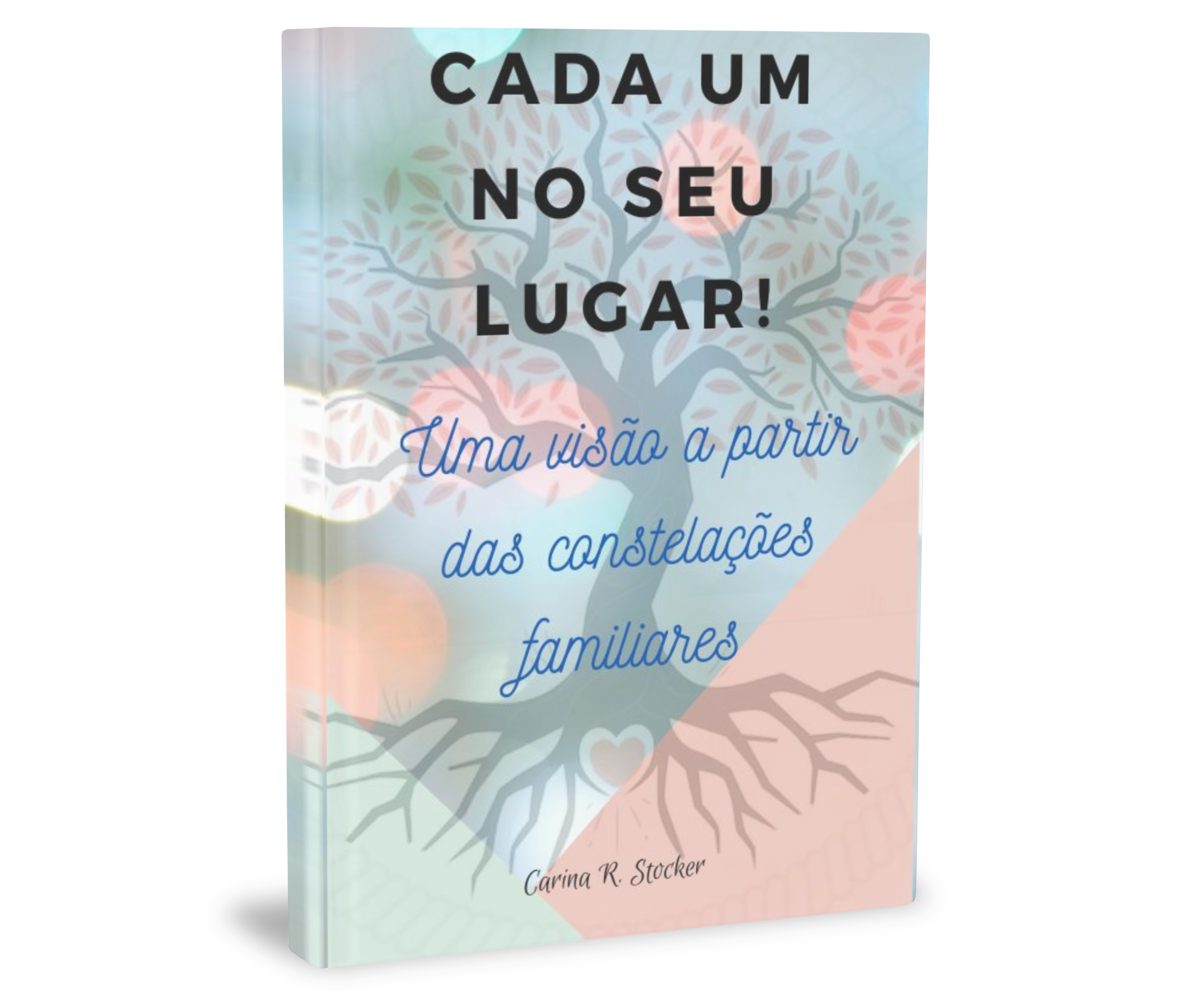 Cada um no Seu Lugar - Uma visão a partir das constelações familiares