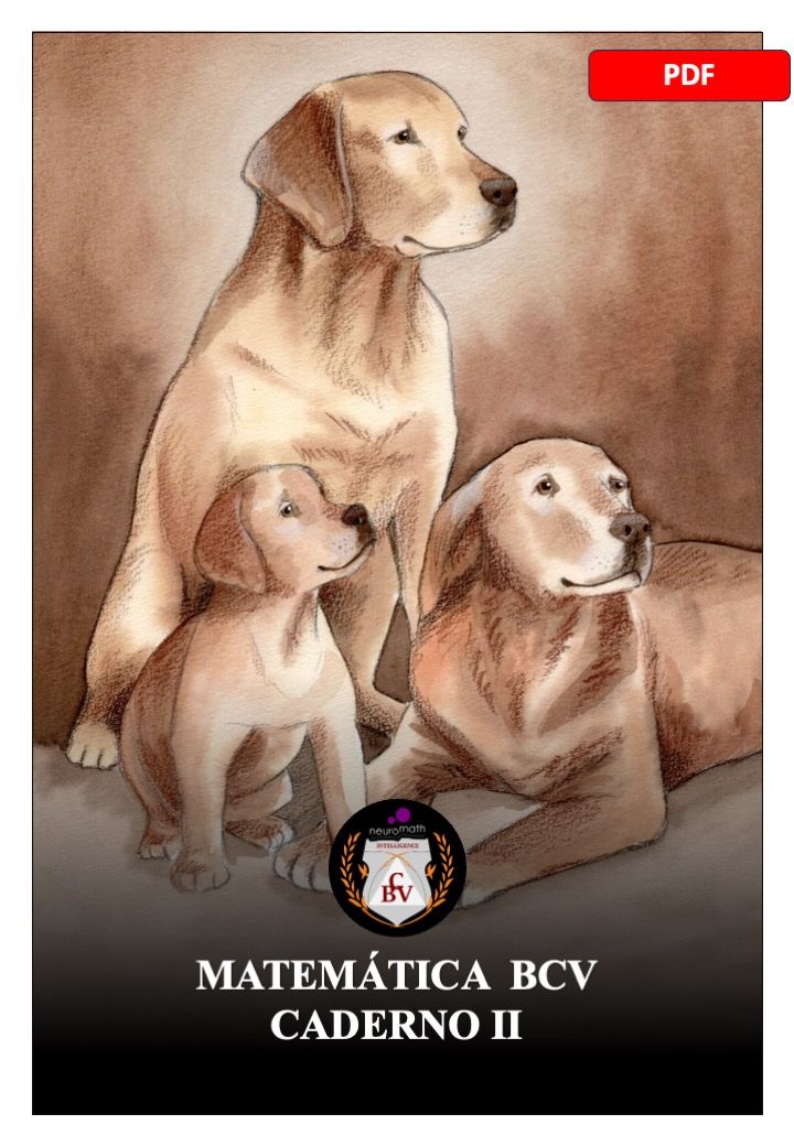 Matemática BCV - Caderno 2