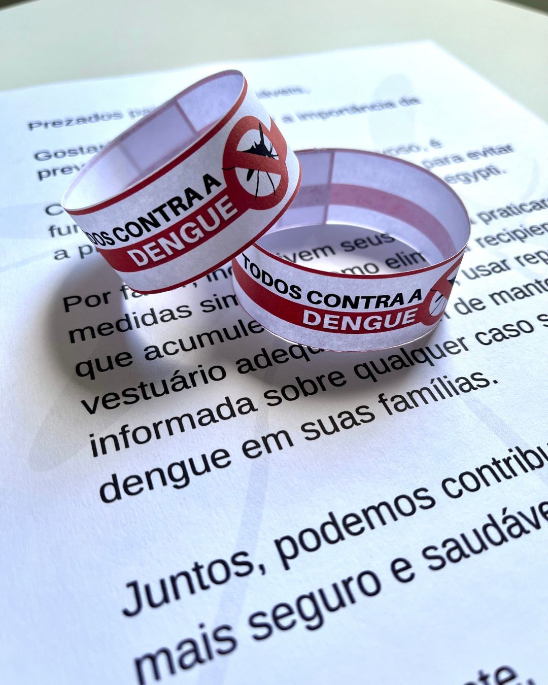 Pulseirinha da Dengue e Recadinho para os Pais