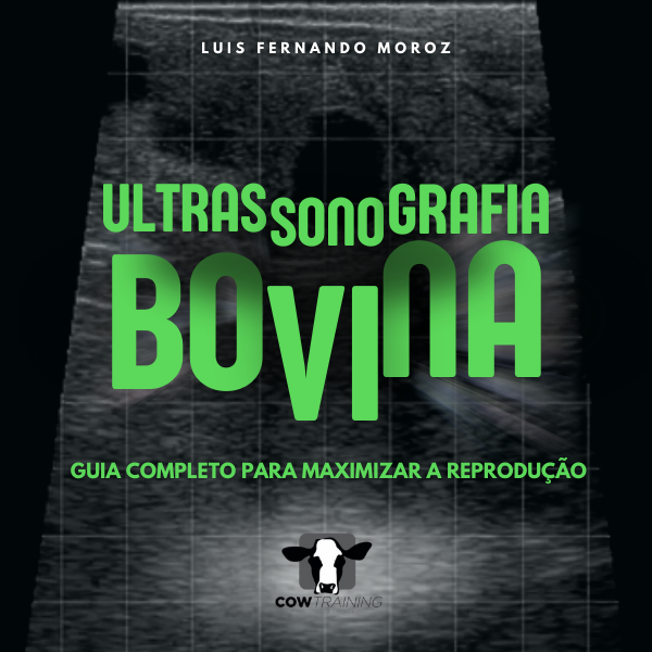 Ultrassonografia bovina: Guia completo para maximizar a reprodução