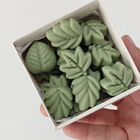 Wax Melts Forest | Aroma Bambu