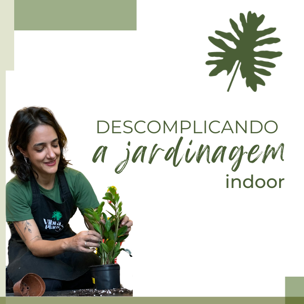Descomplicando a jardinagem indoor