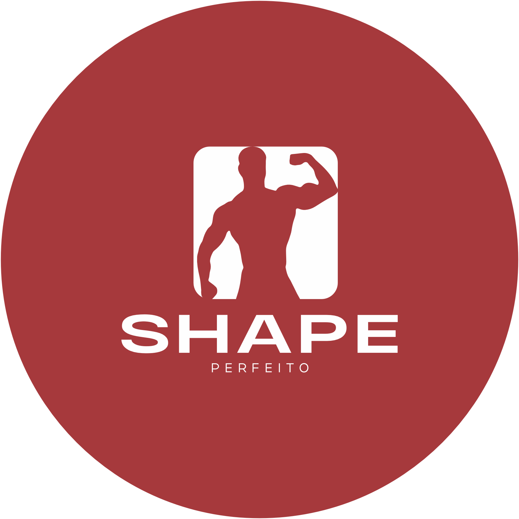 CONSTRUINDO SEU SHAPE PERFEITO