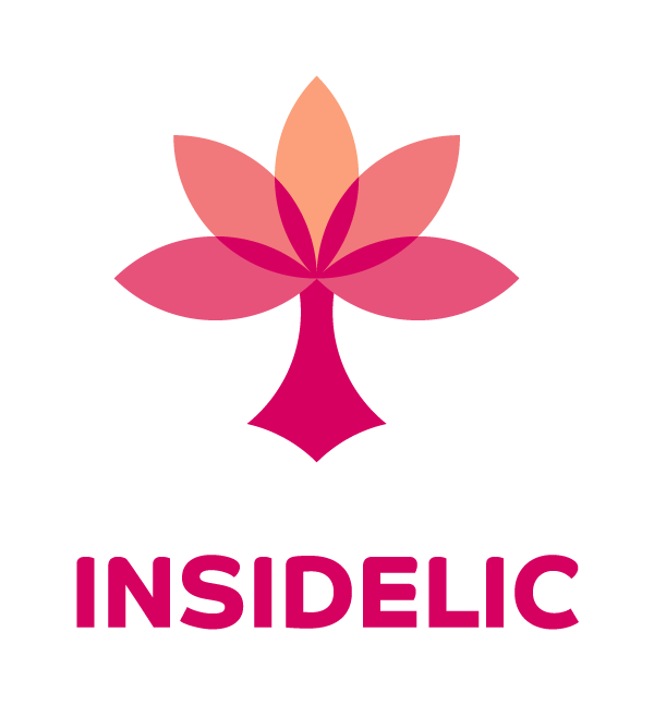 Formação em INSIDELIC