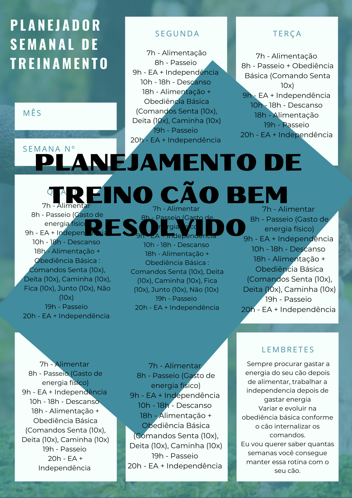 Planilha de Treino Cão Bem Resolvido