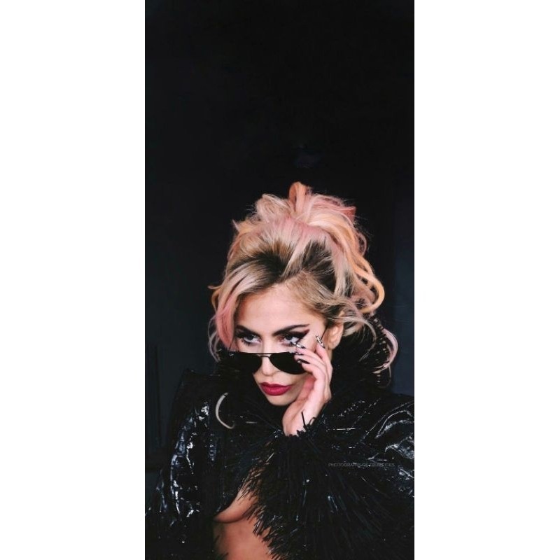 Quadro Lady Gaga Placa Decorativa MDF tamanho A4 28x20 Envio Imediato