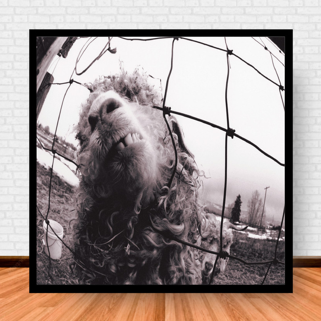 Quadro Decorativo Placa Música Álbuns Pearl Jam Rock com Moldura