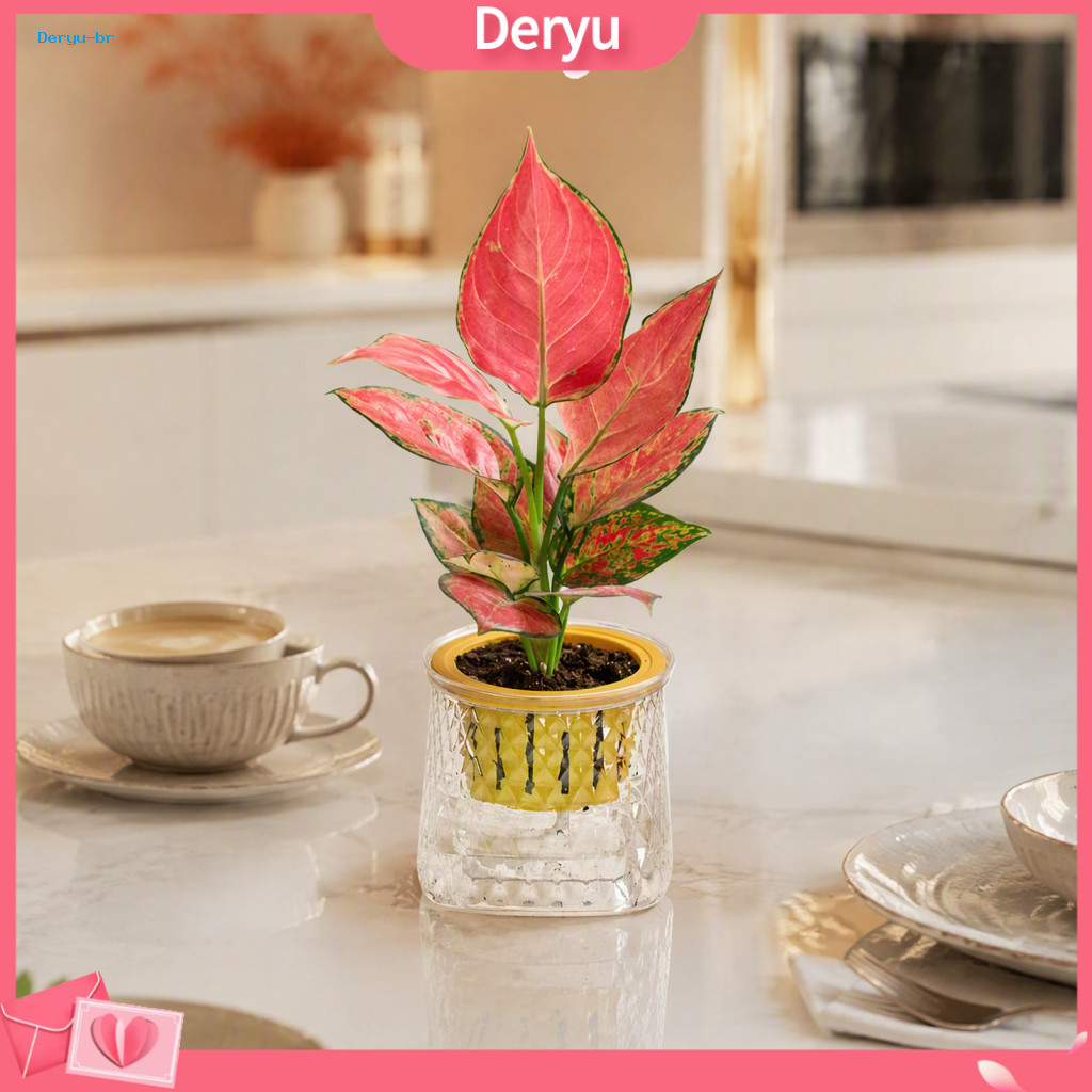 Desktop Succulent Pot Self Watering Planter Indoor Transparent Hydroponic Flowerpot with Wick Rope – Decorative for Ho