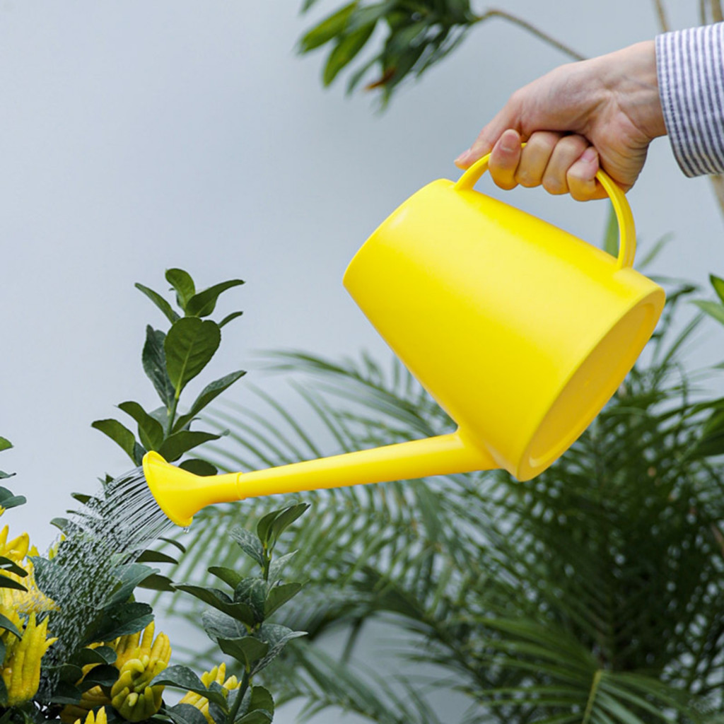 Small Garden Watering Houseplant 1.8l Lightweight Plastic with Long Spout and Sprinkler Rose – Perfect for Houseplants