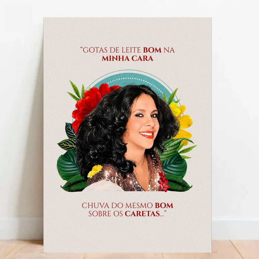 Quadro Placas Decorativas Musica Popular Brasileira Gal Costa Mpb com moldura
