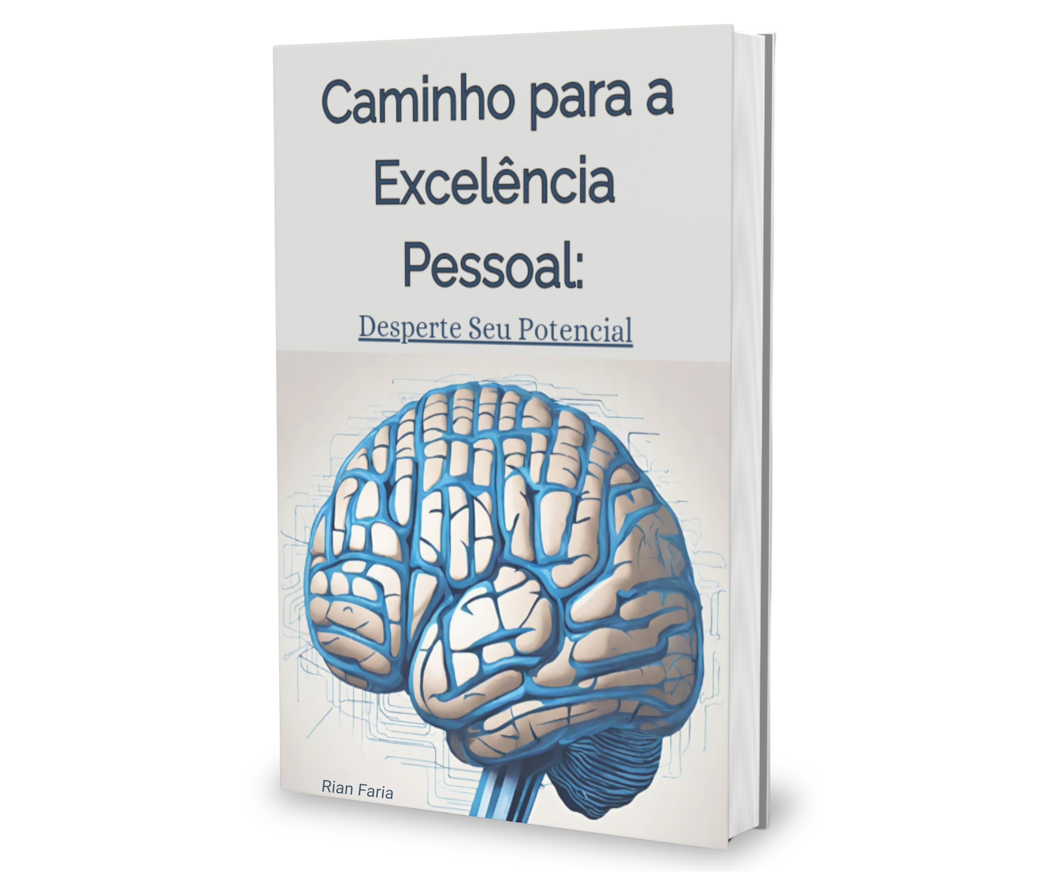 Caminho para a Excelência Pessoal - Desperte seu potencial
