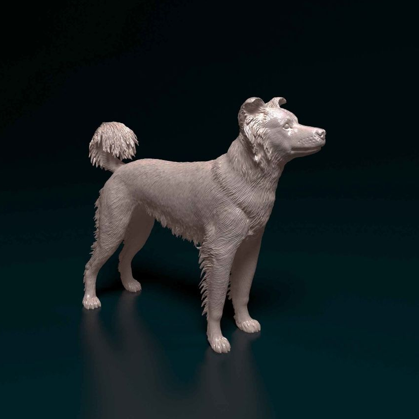 Miniatura Border Collie Cross - Pintura Personalizada ou Cor única - Estátua de Cachorro Impressão 3D