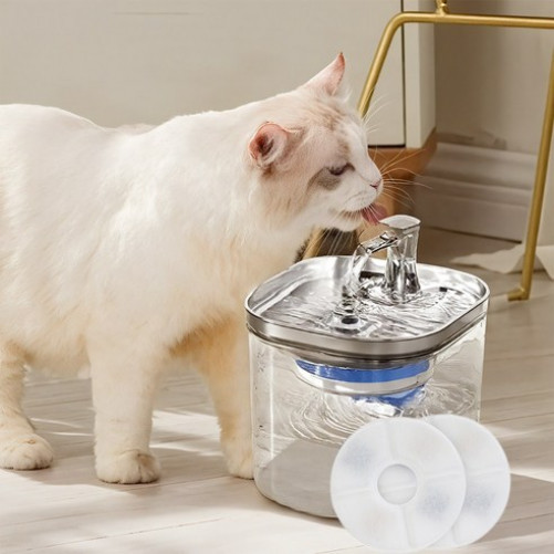 Cat Water Purifier Dog Automatic Water Dispenser 2L Pet Water Fountain 2 Filters