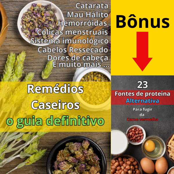 Remédios caseiros o guia definitivo