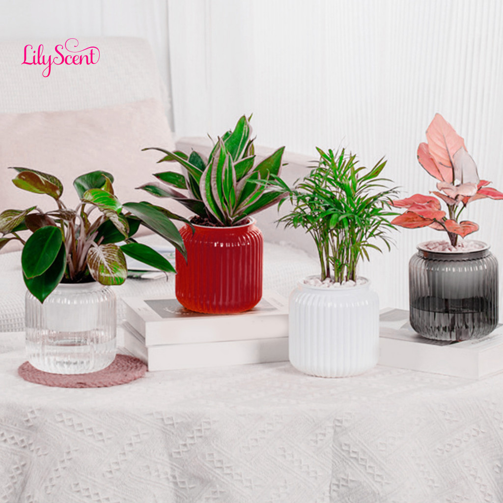 Care Plant Pot Watering Planter Self Plastic Indoor Pots – Modern Decorative Wicking Planters for Herbs Flowers and Ho
