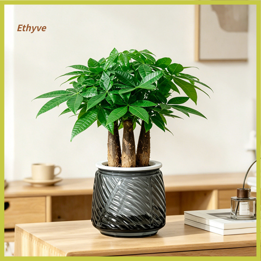 Easy Care Plant Pot Self Watering Planter Self-watering Indoor with Wick Rope Double Layer Transparent Hydroponic Flower