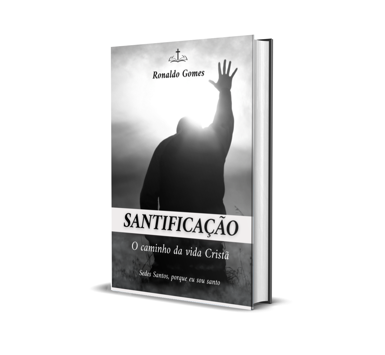Santificação. O Caminho da Vida Cristã