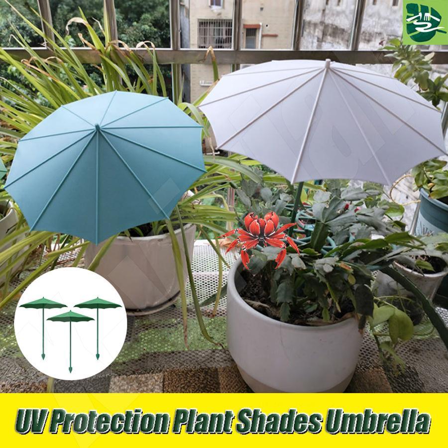 Guarda-Chuva De Plantas 3 Peças Mudas Suprimentos De Proteção Solar Vasos Sombras De Sol Para Jardineiros Varanda Mueady