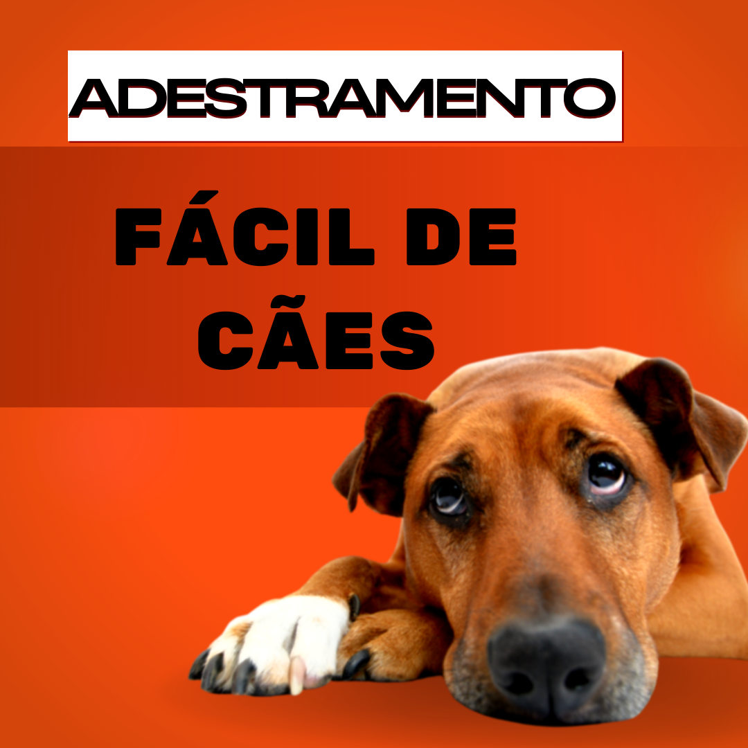 ADESTRAMENTO FÁCIL DE CÃES