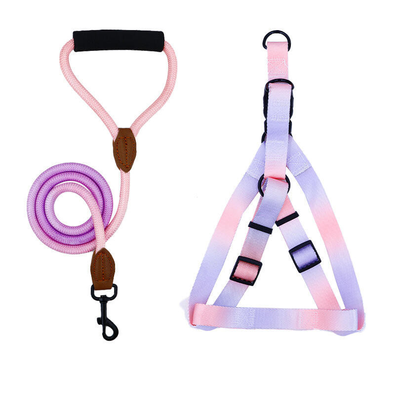 A Set of Colorful Pet Harness with Leash and Dog Leash for Indoor and Outdoor Use&*&*