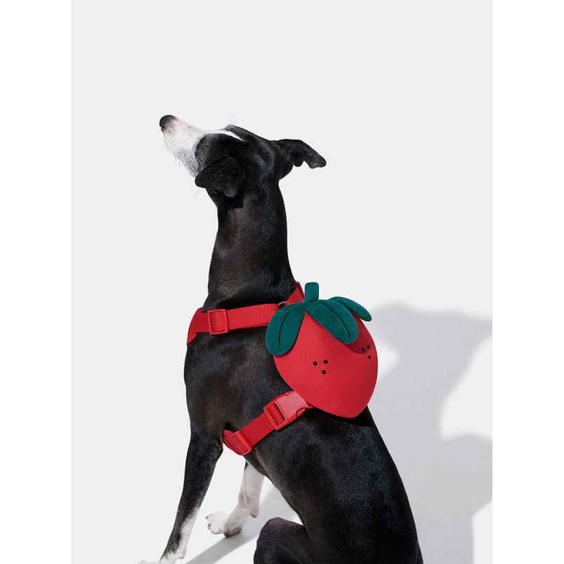 VETRESKA Strawberry Pet Backpack, Harness and Leash Set - M